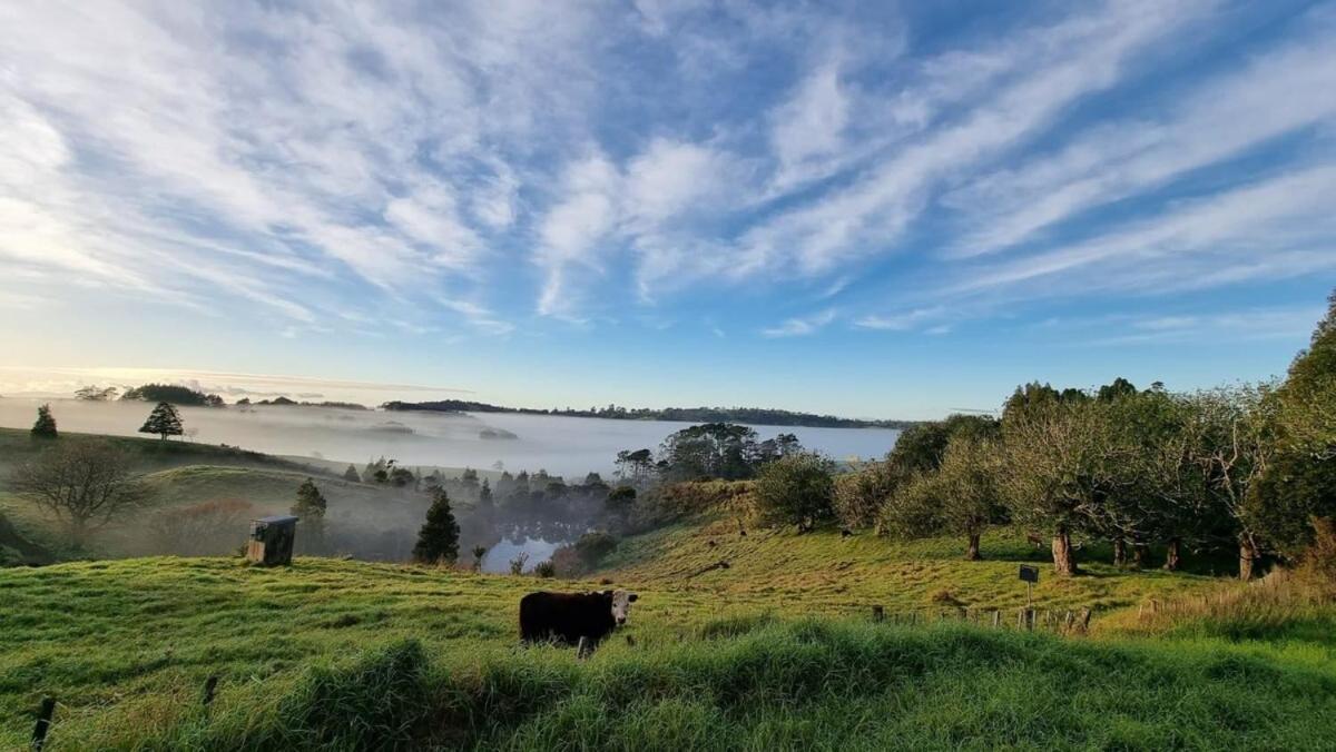 Vila The Kauri Getaway By Tiny Away Waitoki Exteriér fotografie